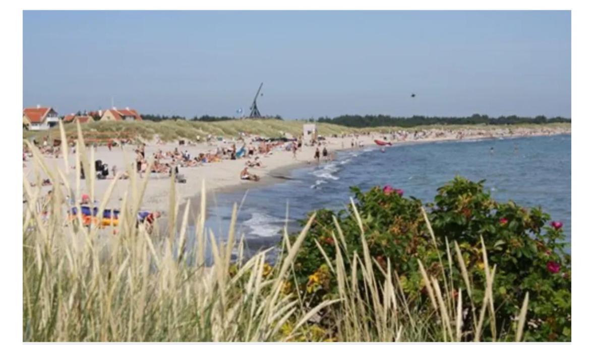 Skon Villalejlighed I Skagen Med Terrasse Og Taet Pa Centrum Exterior photo